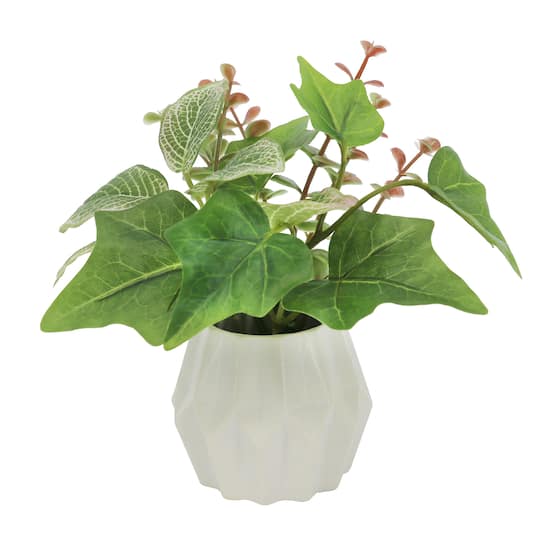 6.5&#x22; Fittonia with Eucalyptus in Faceted Ceramic Pot by Ashland&#xAE;